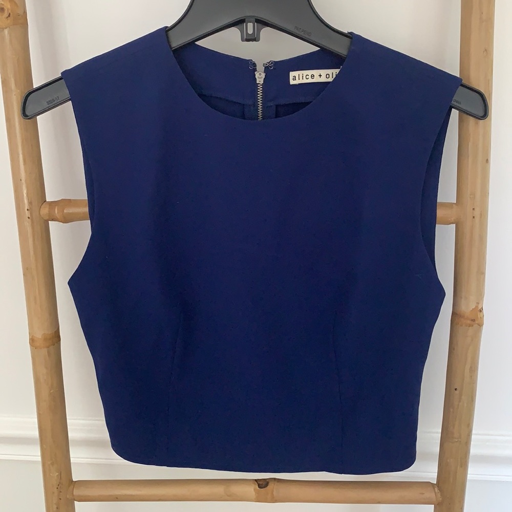 Alice and Olivia Blue Crop Top